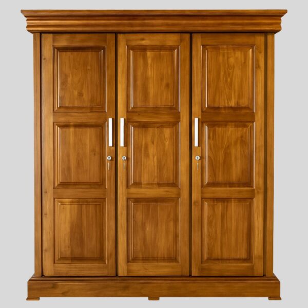 Teak Matt Finish 03 Door Almirah